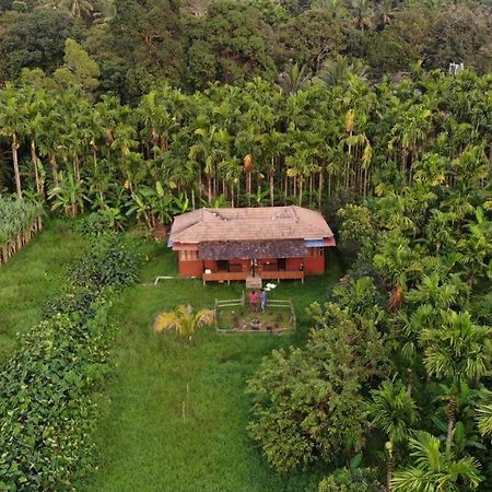 Ibbani Homestay, Siddapur Exteriér fotografie