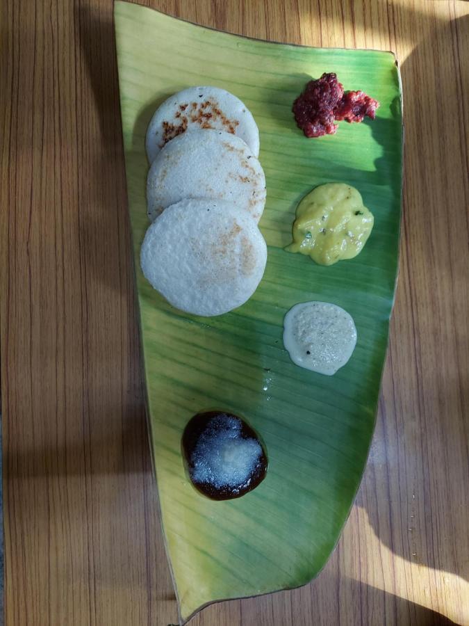 Ibbani Homestay, Siddapur Exteriér fotografie