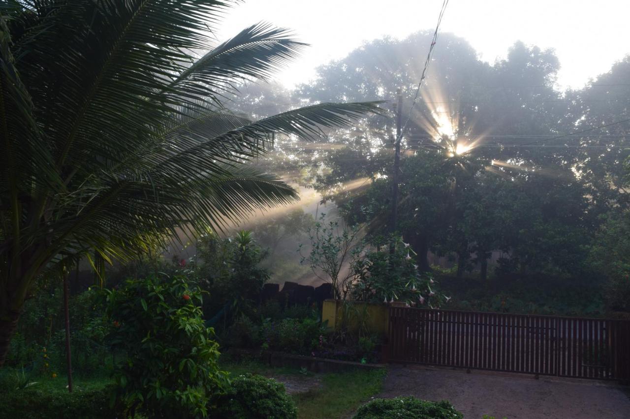 Ibbani Homestay, Siddapur Exteriér fotografie