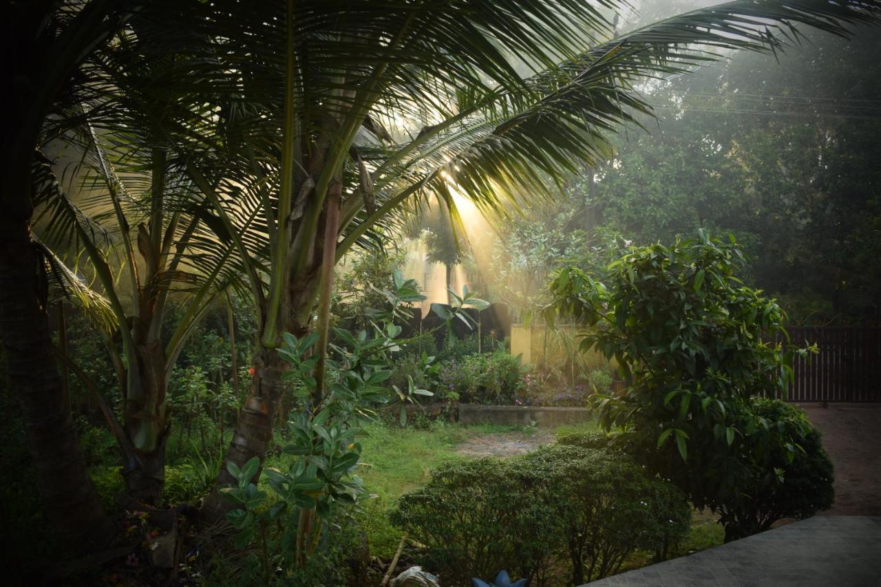 Ibbani Homestay, Siddapur Exteriér fotografie
