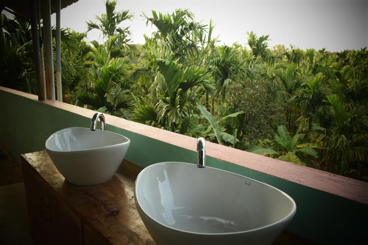 Ibbani Homestay, Siddapur Exteriér fotografie