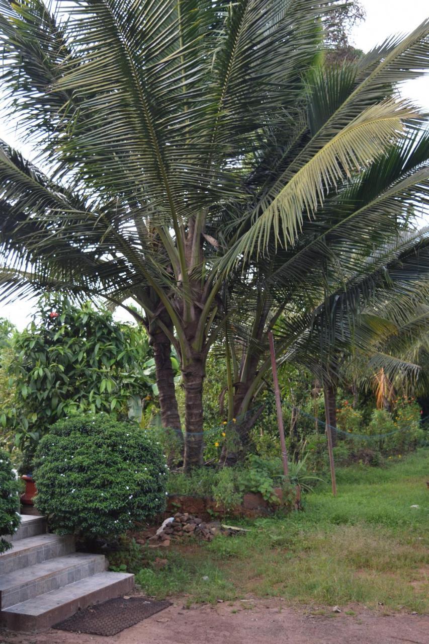 Ibbani Homestay, Siddapur Exteriér fotografie