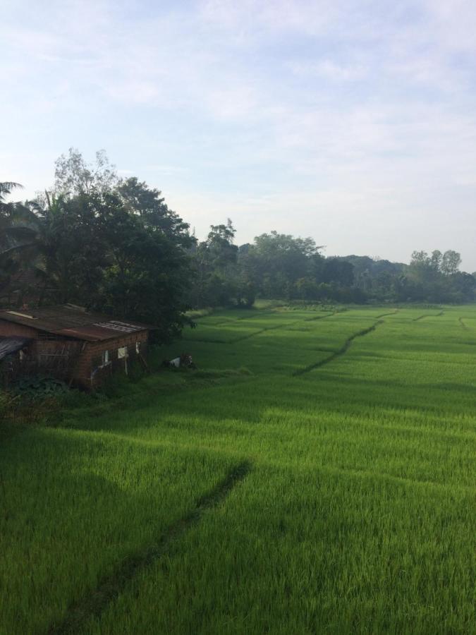 Ibbani Homestay, Siddapur Exteriér fotografie