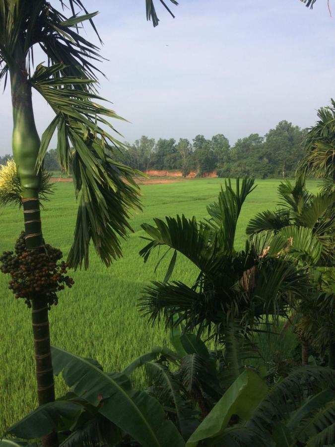 Ibbani Homestay, Siddapur Exteriér fotografie