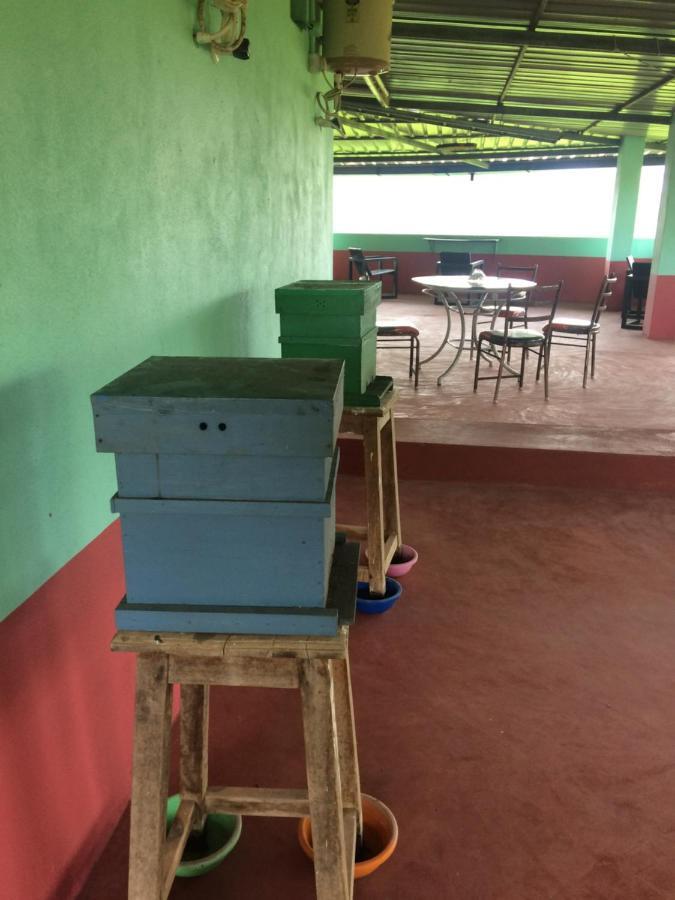 Ibbani Homestay, Siddapur Exteriér fotografie