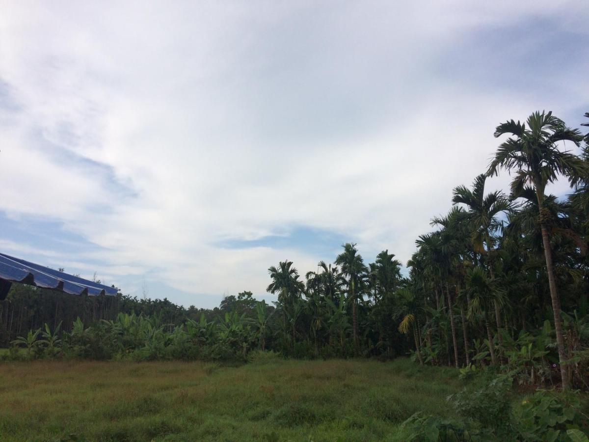 Ibbani Homestay, Siddapur Exteriér fotografie